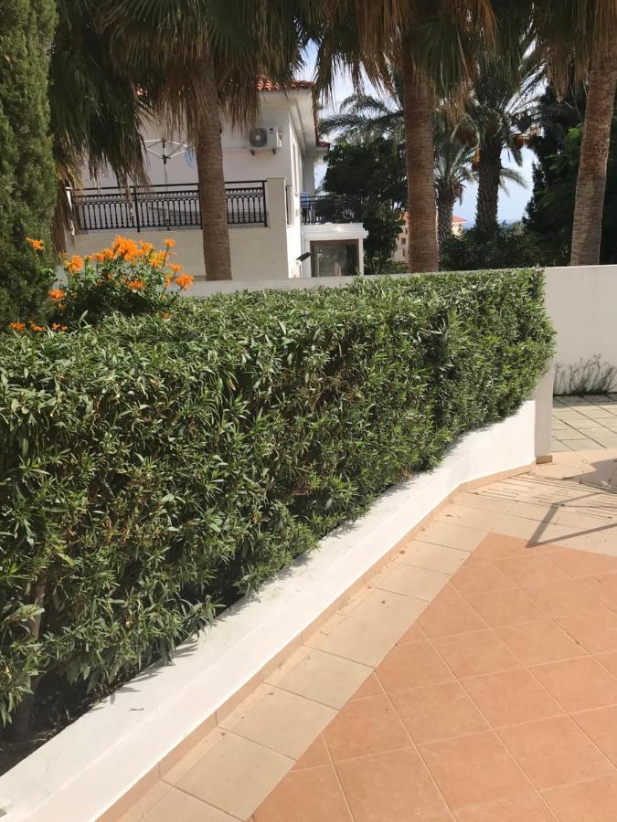 Mediterranean Dream Voroklini Exterior photo